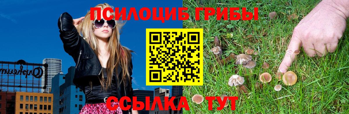 Среднеуральск  Псилоцибиновые грибы мухоморы  Вход с VPN 